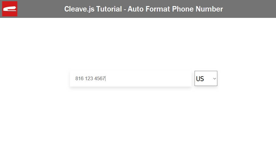 cleave-js-format-phone-number-1