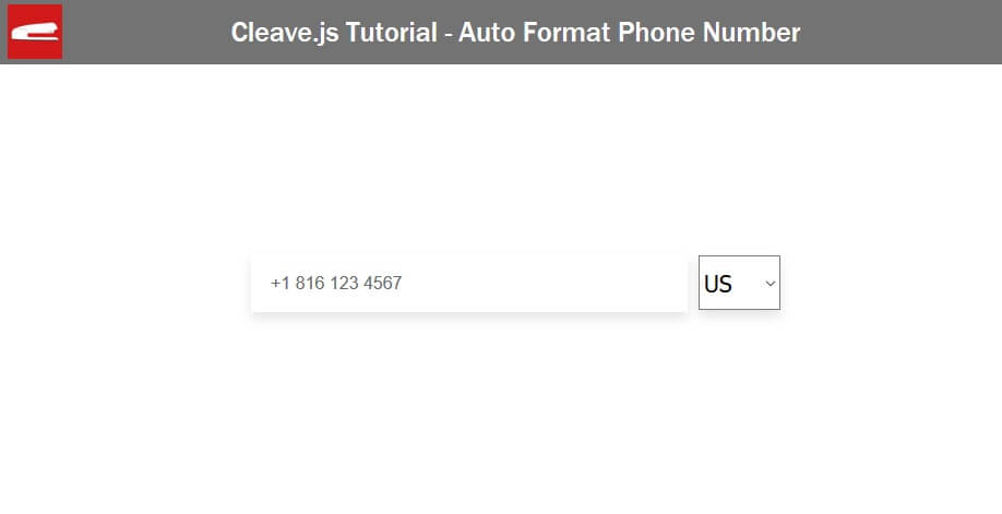 cleave-js-format-phone-number-2